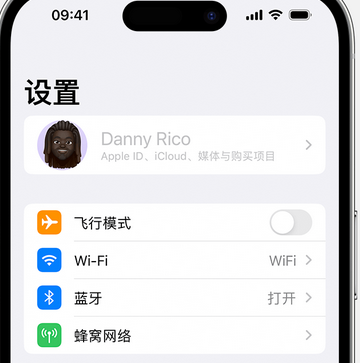 茂县appleID维修服务iPhone设置中Apple ID显示为灰色无法使用 