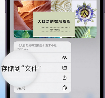 茂县apple维修中心分享iPhone文件应用中存储和找到下载文件