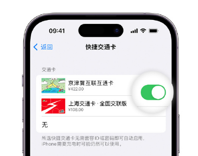 茂县apple维修点分享iPhone上更换Apple Pay快捷交通卡手绘卡面 