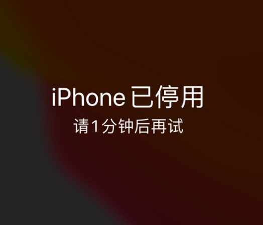 茂县苹果手机维修分享:iPhone 显示“不可用”或“已停用”怎么办？还能保留数据吗？ 