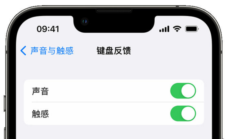 茂县苹果手机维修分享iPhone 14触感键盘使用方法 