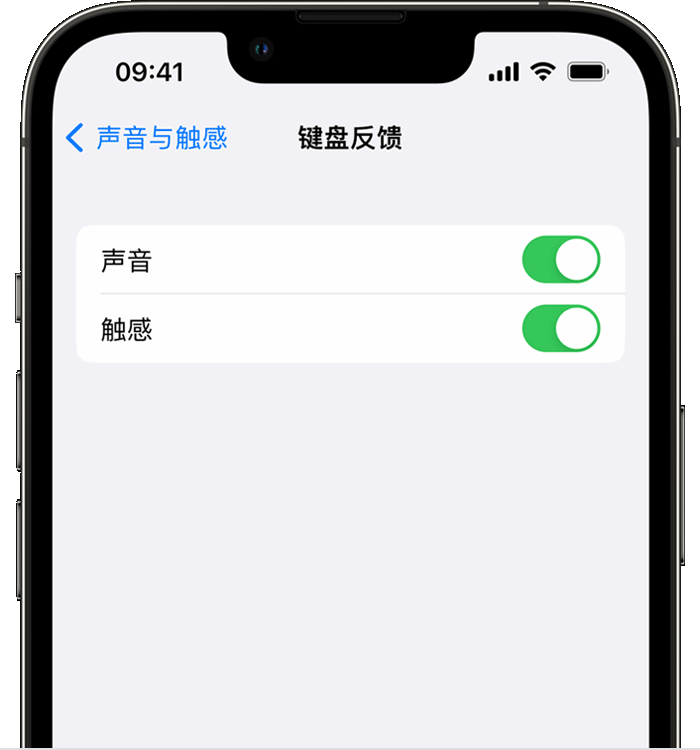 茂县苹果14维修店分享如何在 iPhone 14 机型中使用触感键盘 