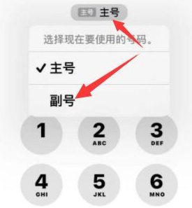 茂县苹果14维修店分享iPhone 14 Pro Max使用副卡打电话的方法 