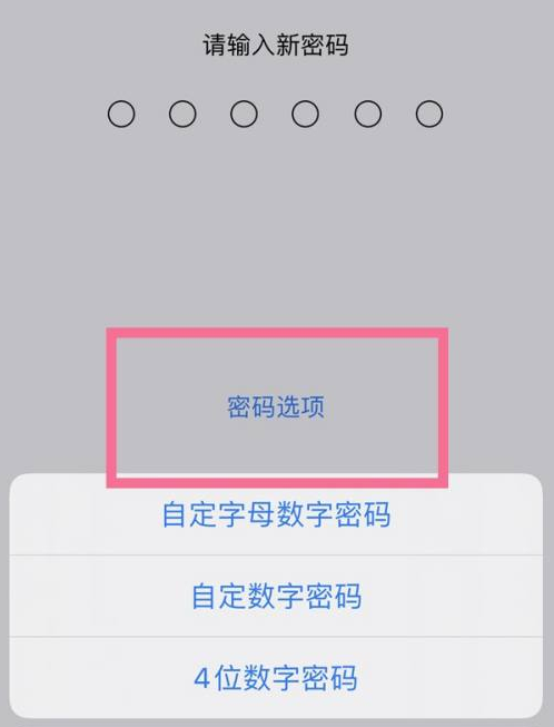 茂县苹果14维修分享iPhone 14plus设置密码的方法 