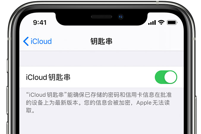 茂县苹果手机维修分享在 iPhone 上开启 iCloud 钥匙串之后会储存哪些信息 