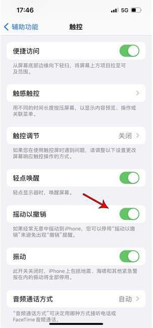 茂县苹果手机维修分享iPhone手机如何设置摇一摇删除文字 